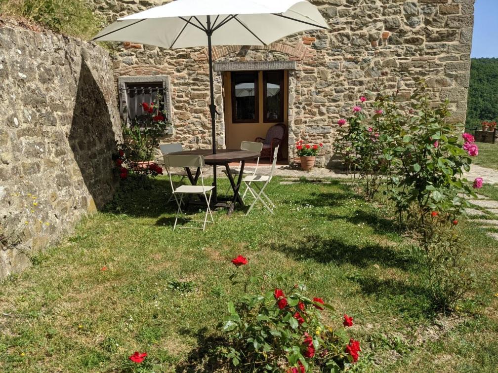 Agriturismo Casentino - Fattoria Ventrina Martina Exteriér fotografie