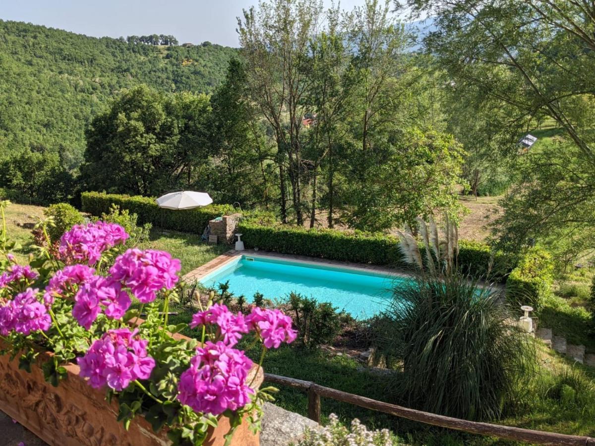 Agriturismo Casentino - Fattoria Ventrina Martina Exteriér fotografie