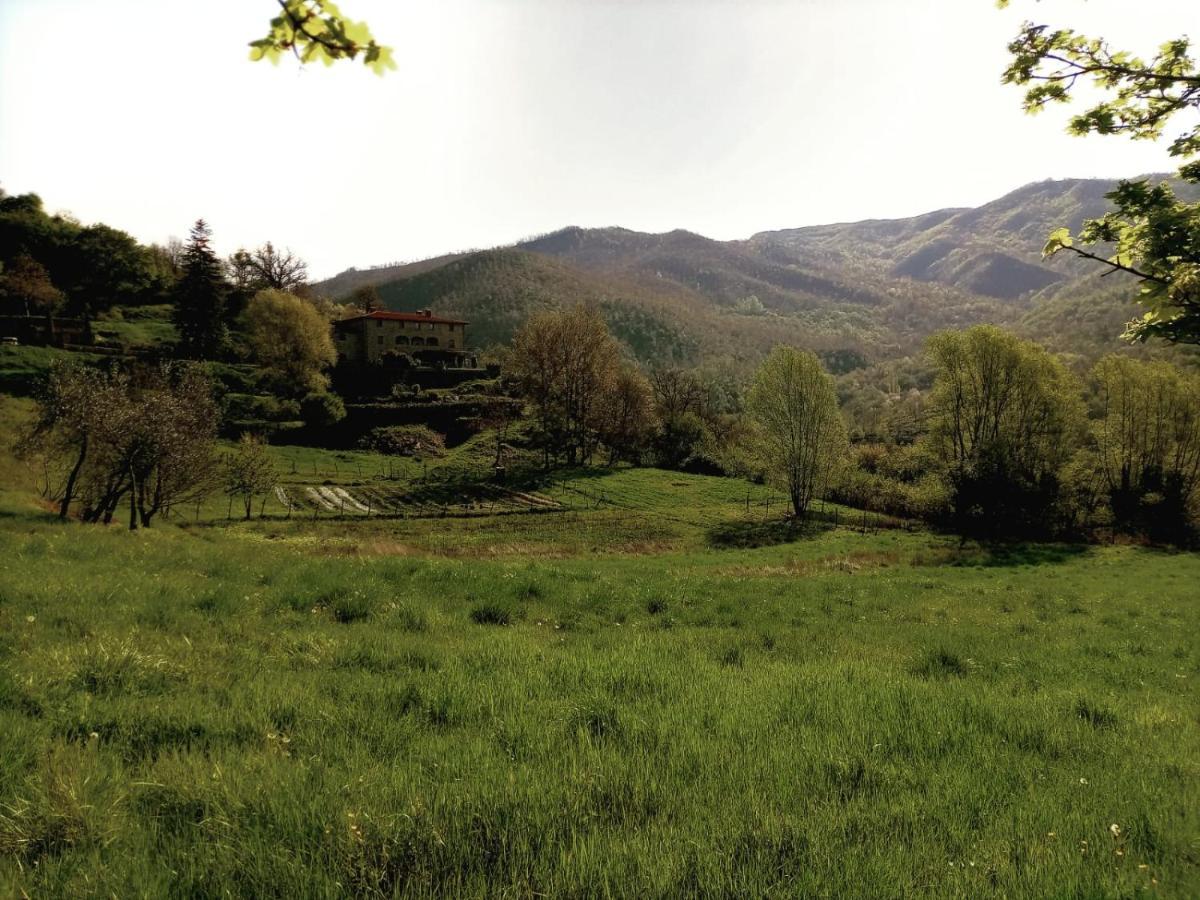 Agriturismo Casentino - Fattoria Ventrina Martina Exteriér fotografie