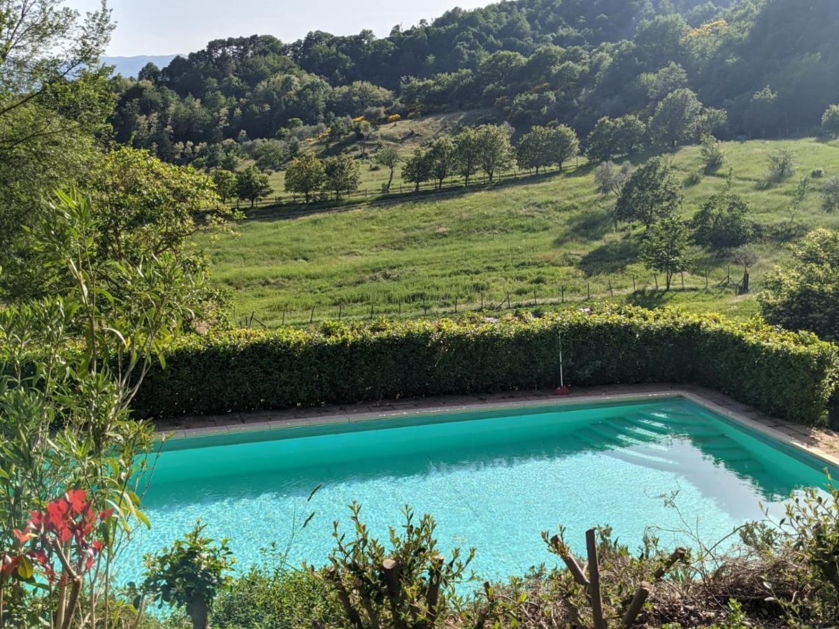 Agriturismo Casentino - Fattoria Ventrina Martina Exteriér fotografie