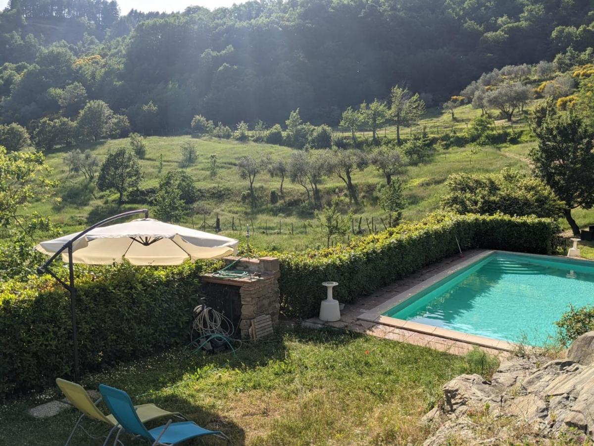Agriturismo Casentino - Fattoria Ventrina Martina Exteriér fotografie