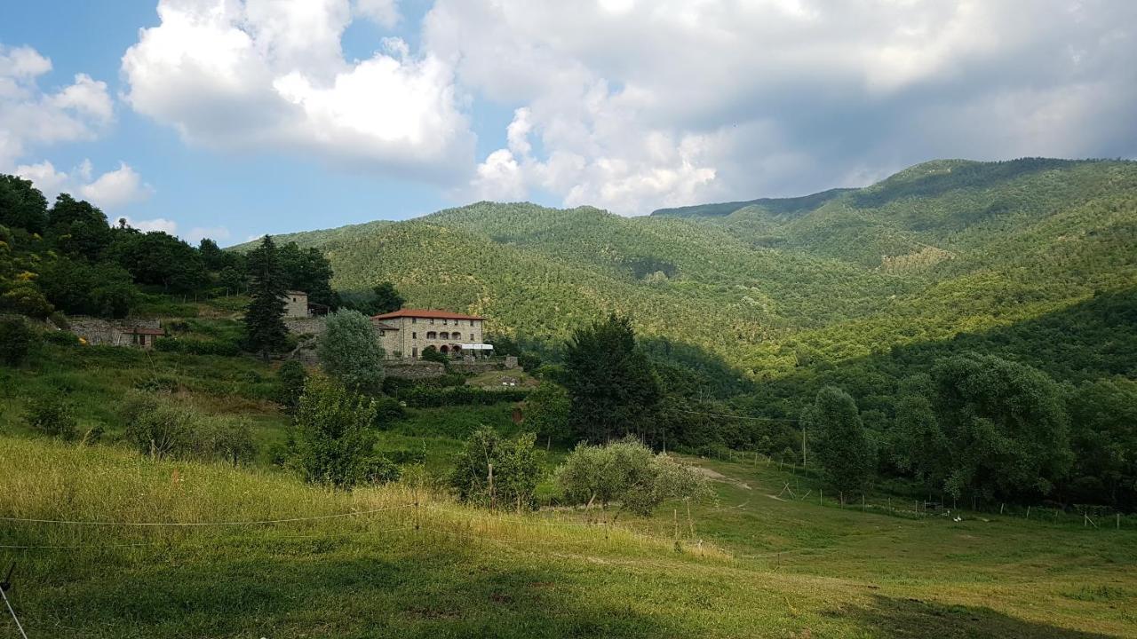 Agriturismo Casentino - Fattoria Ventrina Martina Exteriér fotografie